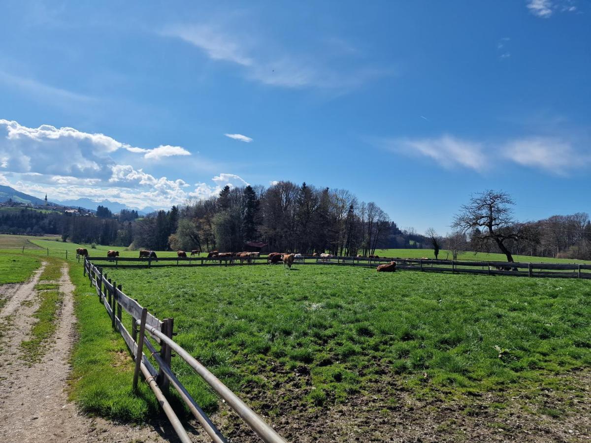 Seeberghof Gasthof *